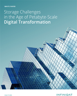 Storage Challenges in the Age of Petabyte-Scale Digital Transformation