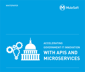 Accelerating Government IT Innovation