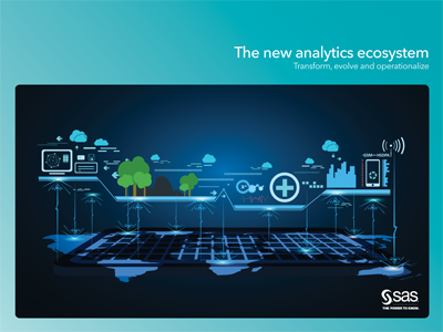 The new analytics ecosystem