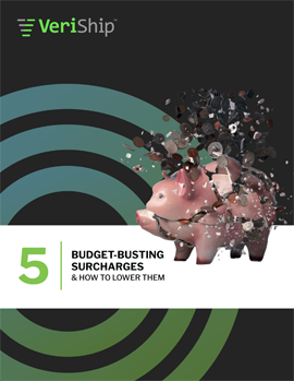 Ebook: 5 Budget-Busting Surcharges and How to Lower Them