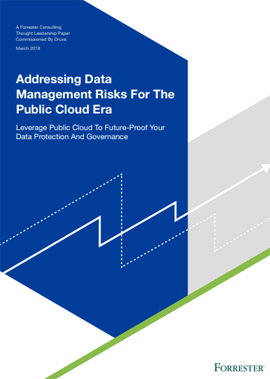 Addressing Data Management Risks for the Public Cloud Era